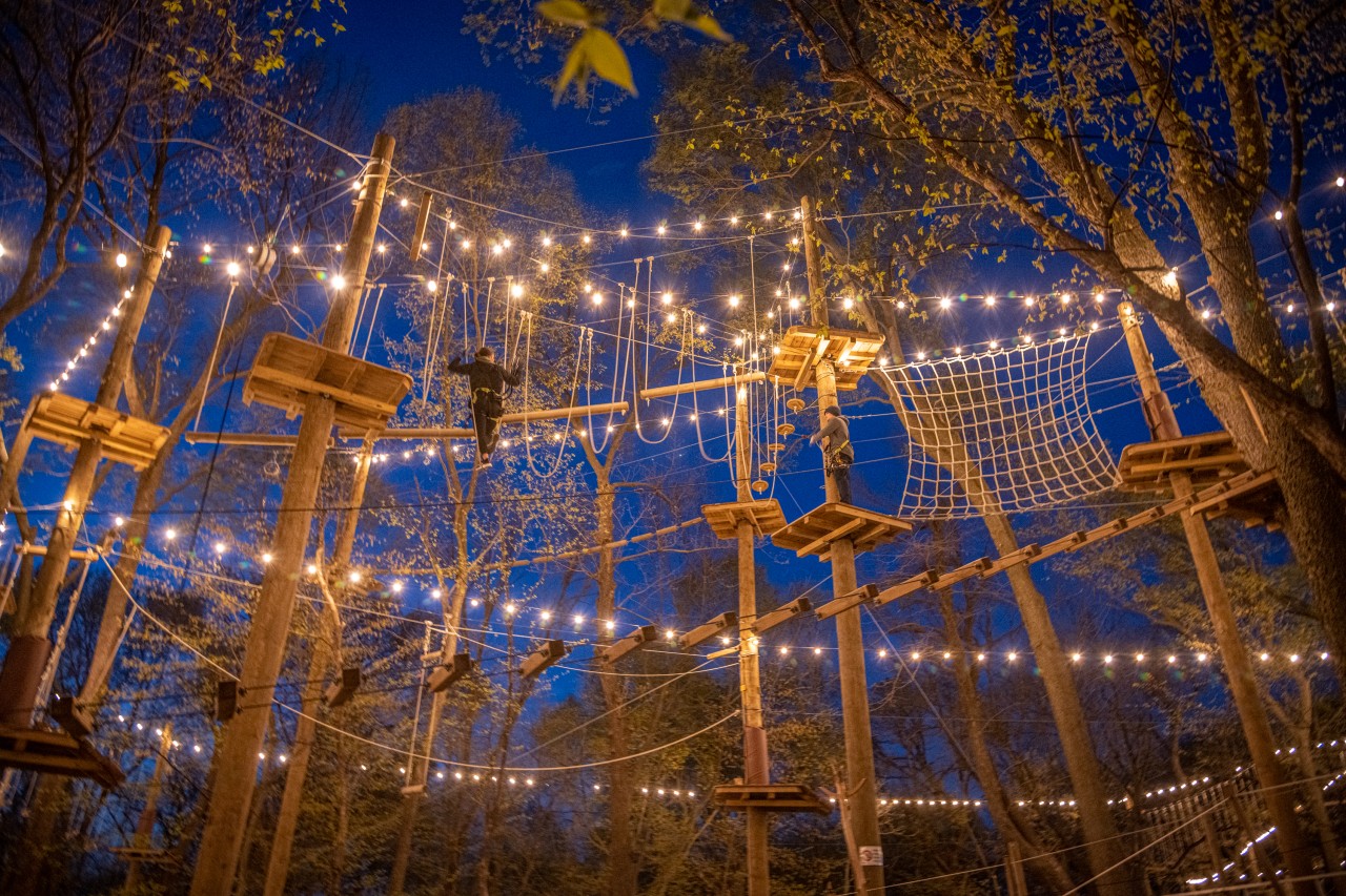 TreeRush Adventures at Fontenelle Forest Creates Magical NightClimbing